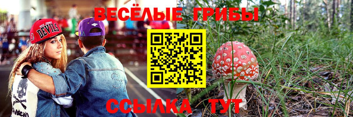 Галлюциногенные грибы мицелий  Вход с VPN  Сокол  Псилоцибиновые грибы MAGIC MUSHROOMS 